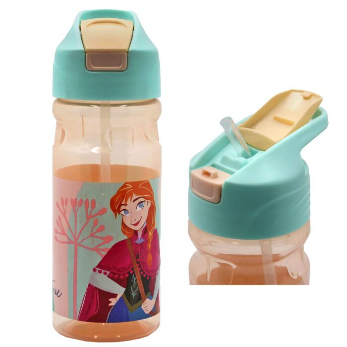 ΠΑΓΟΥΡΙ ΠΛΑΣΤΙΚΟ “FROZEN” 550ml