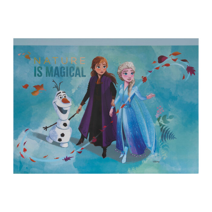 ΣΕΤ ΖΩΓΡΑΦΙΚΗΣ ΣΕ ΔΙΑΦΑΝΗ ΤΣΑΝΤΑ “Frozen” - Image 5