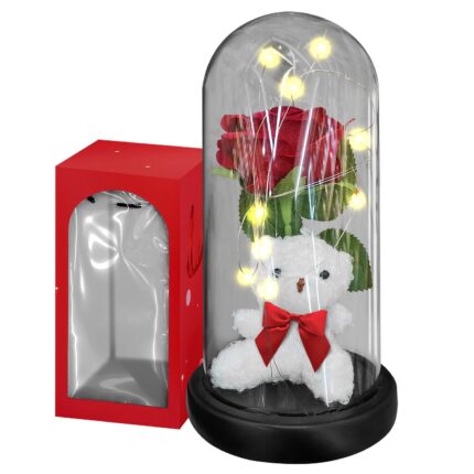 ΑΡΚΟΥΔΟΣ ΜΕ ΤΡΙΑΝΤΑΦΥΛΛΟ ΣΕ ΓΥΑΛΑ ΜΕ ΦΩΣ